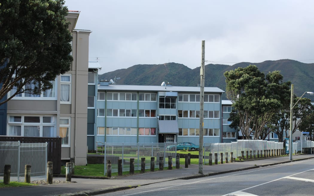The Petone flats.