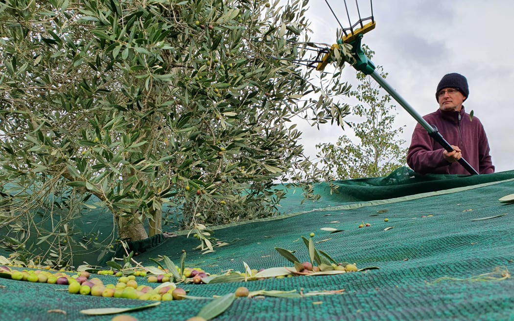 Ross Vintiner at work over harvest