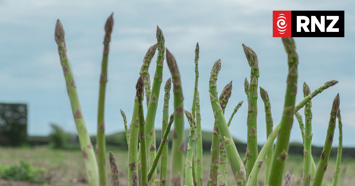 Frost fighting efforts pay off for growers - Vimarsana News