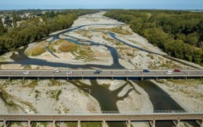 The site for Ashburton's second bridge will require the management of endangered black-billed gull (tarāpuka) and at-risk southern grass skinks.