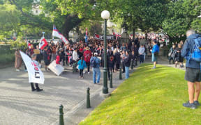 Protesters in Wellington have reached the streets around Parliament.
