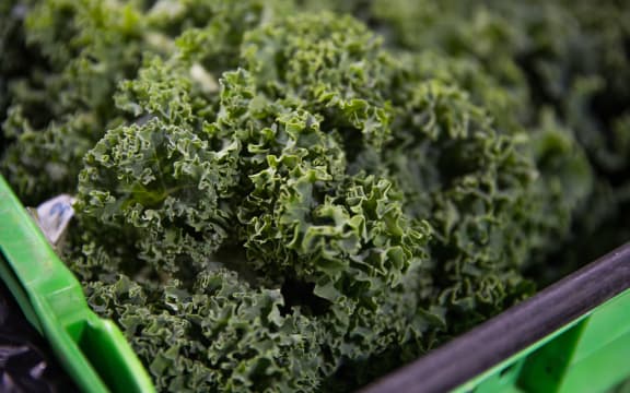 Kale sits amongst the fresh produce at T&G (Turners & Growers) in Mt Wellington, Auckland