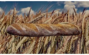 bread and wheat