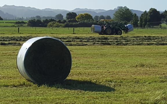 Silage making summer