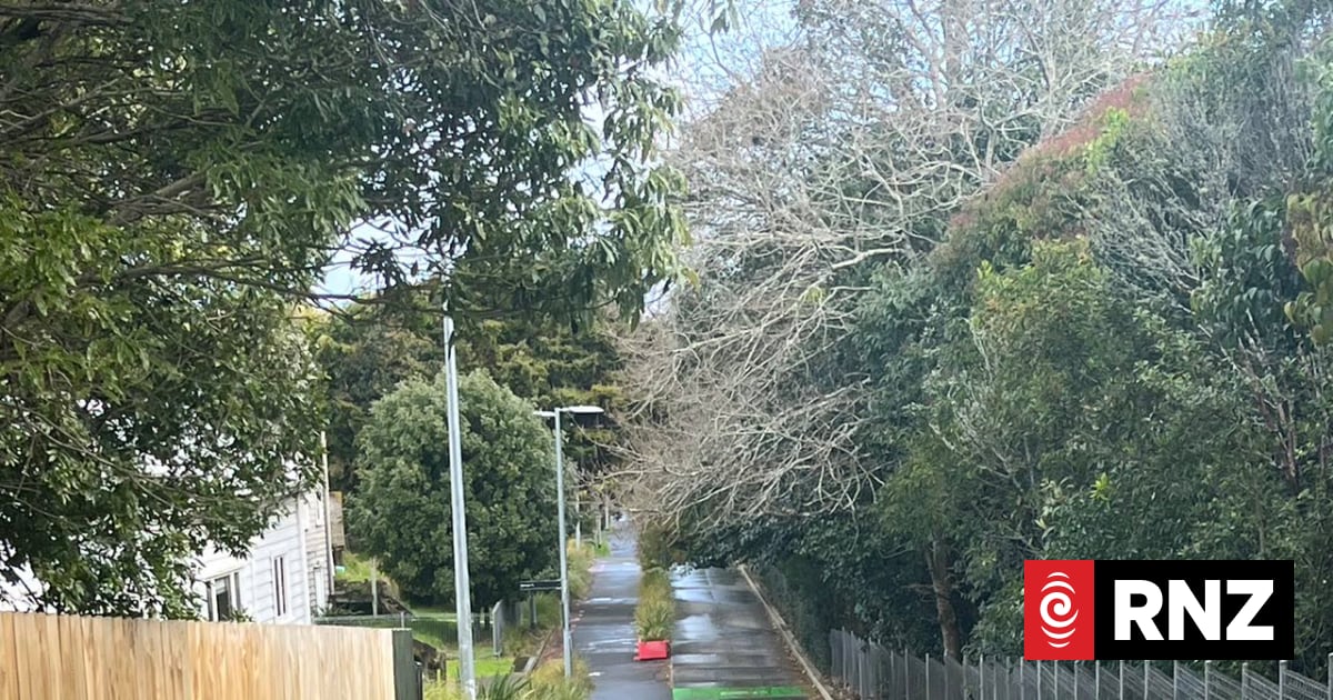 www.rnz.co.nz