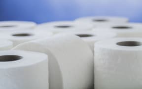 Rolls of toilet paper