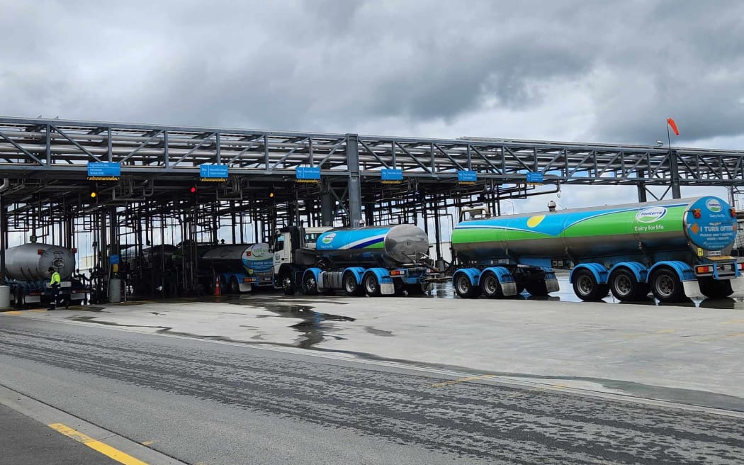 Milk tankers arriving at Fonterra's Darfield Cream Cheese factory