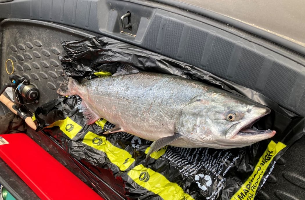 The salmon, caught off Pauls Rd, weighed 6.35 kilograms.