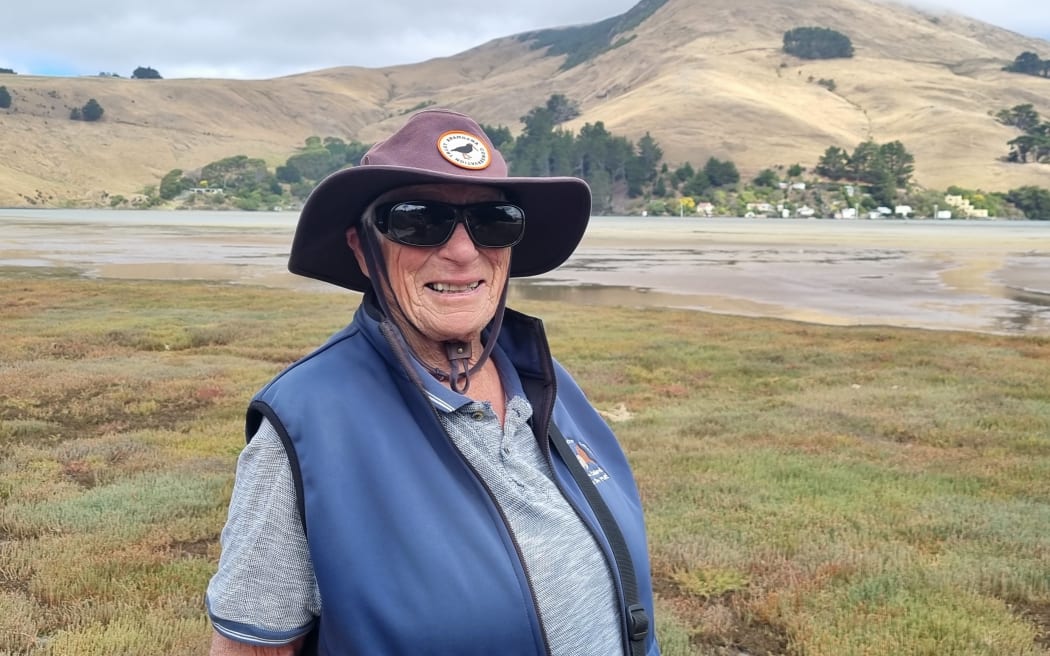 Janet Ledingham documents sea lions on the Otago Peninsula.