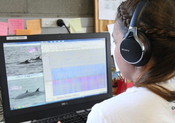 Rosalyn Putland has more than half a million minutes of underwater recordings to listen to and describe, and she uses colour to help make the spectrogram of the sound more distinctive.