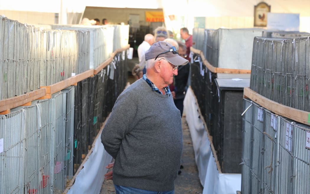 The National Poultry and Pigeon Show