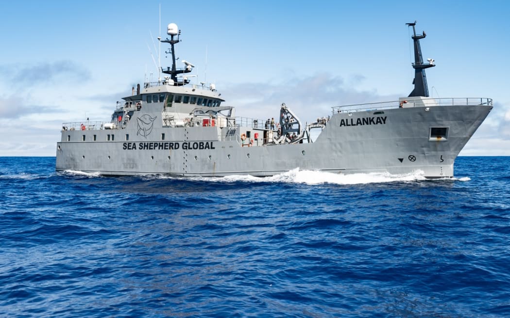 The 54.4 metre Sea Shepherd vessel the Allankay will berth at Queens Wharf in Wellington and there will be a public launch for the organisation's Antartica campaign and the opportunity for the public to visit the ship.