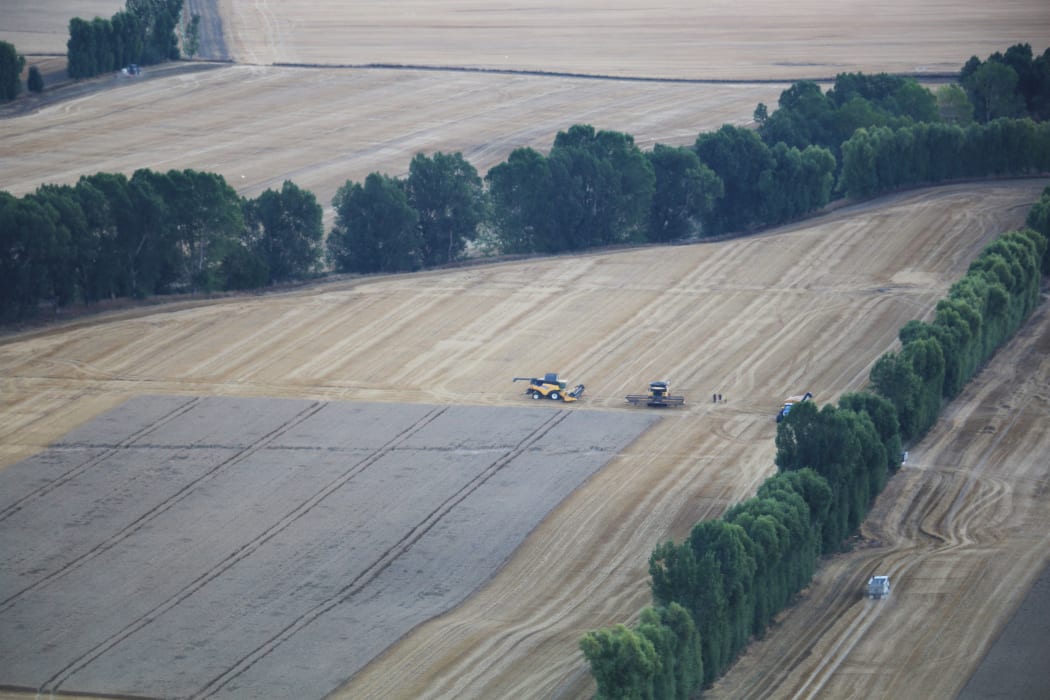Harvesting crops in northern Southland