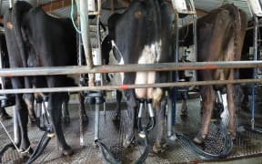 Ian Armstrong said it was not possible for a young farmer to write a cheque for a farm like his which milks 1000 cows.