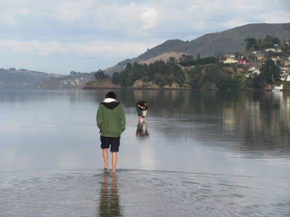 Some of the Healthy Harbour Watchers team collecting water from Otago Harbour for analysis.