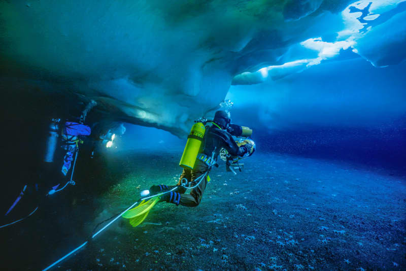 Under the ice at Turtle Rock waiting for Weddle seals, with Jean Ackay on the lights. Visibility was about 50 metres.