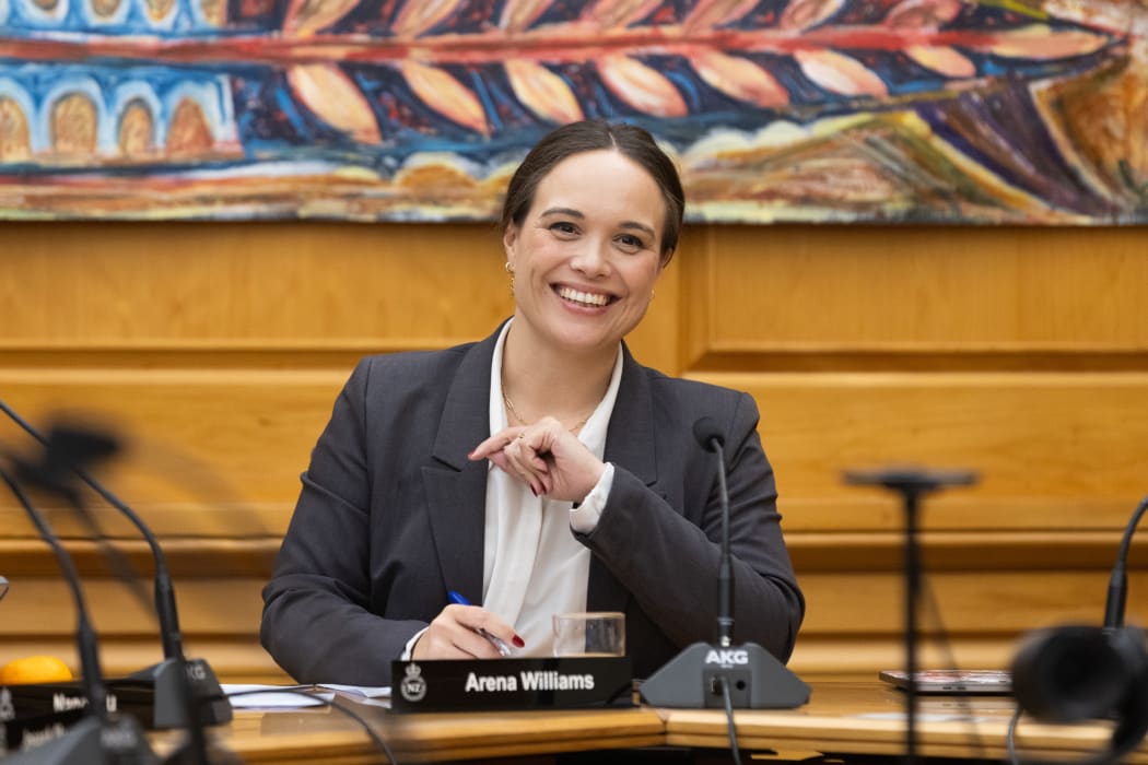Labour MP Arena Williams chairing Parliament's Regulations Review Committee.