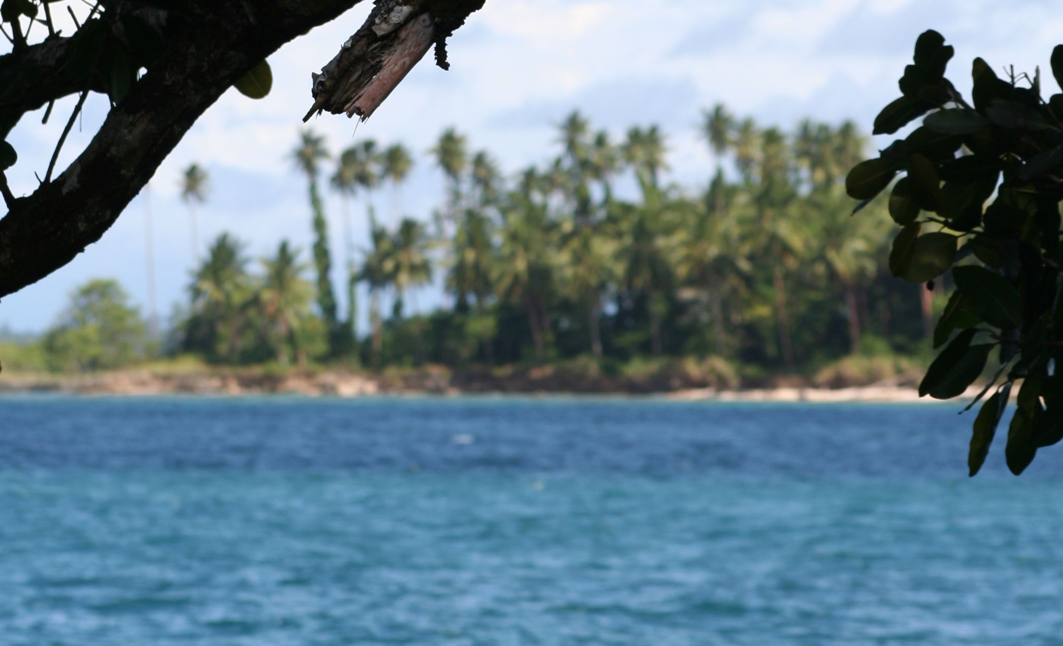 Papua New Guinea coastal.
