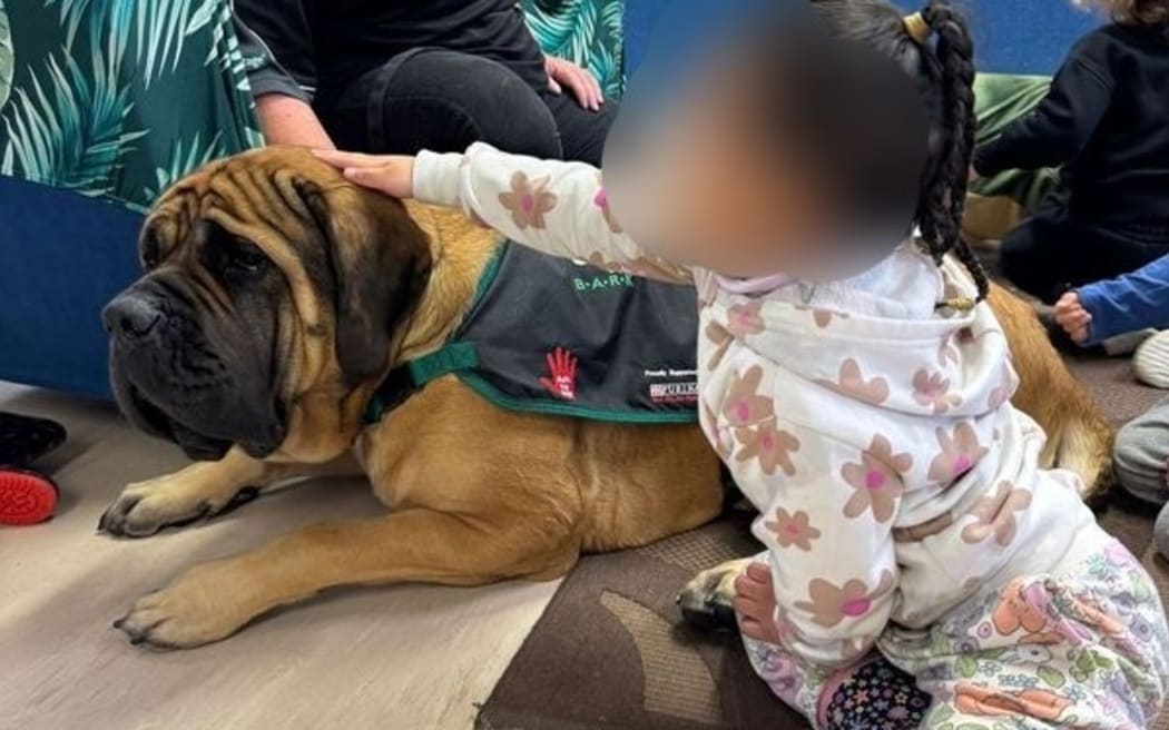 A pre-school in south Auckland is teaching its tamariki how to be safe around dogs.