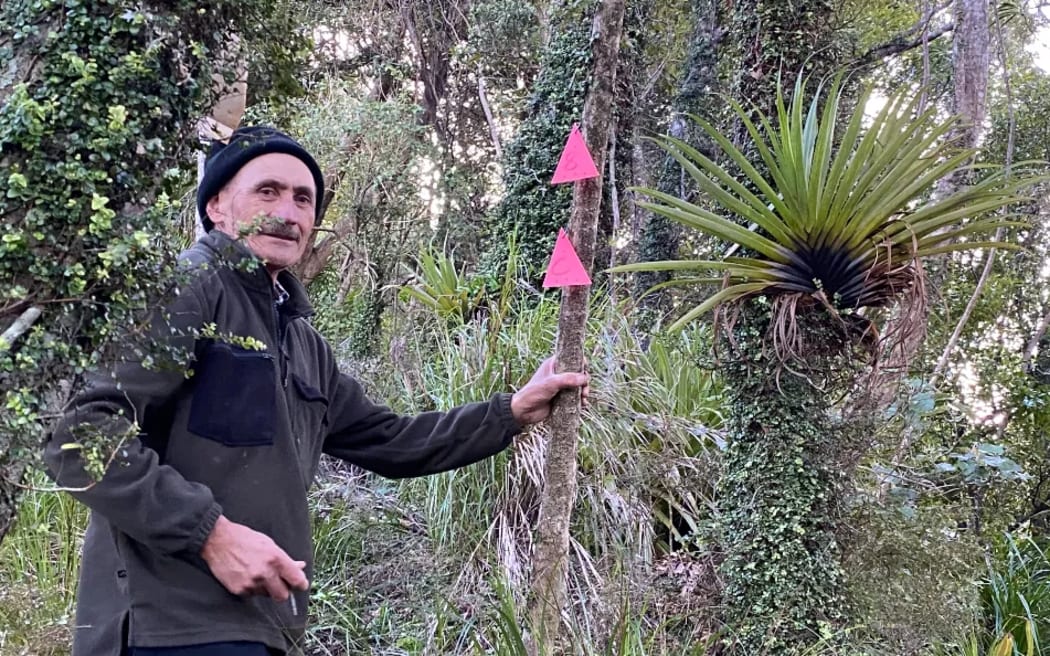 Te Kautuku beef station on the far East Coast, Tairāwhiti, is being used as a test case for a native habitat regeneration project by startup Toha Network, allowing supporters to purchase Mahi Tokens to fund the environmental work.