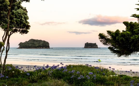 Whangamatā beach is popular with summer holiday makers