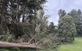 Storm damage in Clutha's rural Kakapuaka,