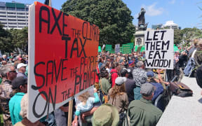 Farmers protest at Parliament over the growth of forestry in New Zealand.