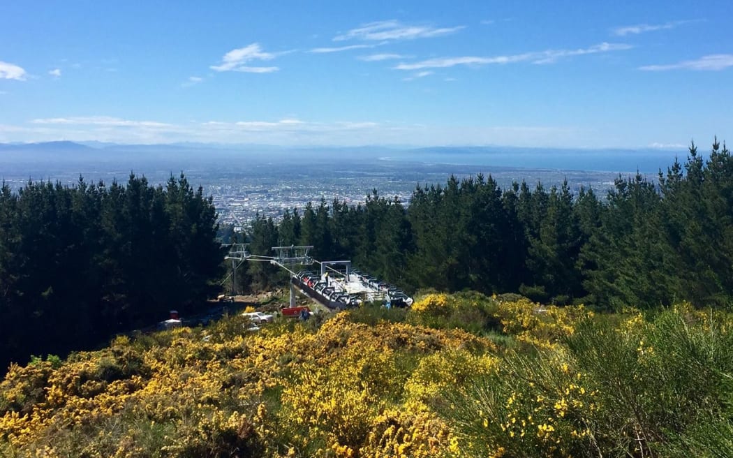 The view from the top at the Christchurch Adventure Park.