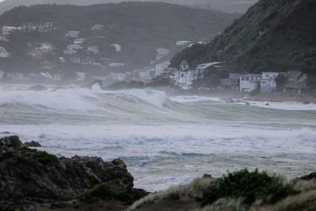 A large swell warning is in place for Wellington's south coast. (Houghton Bay pictured.)