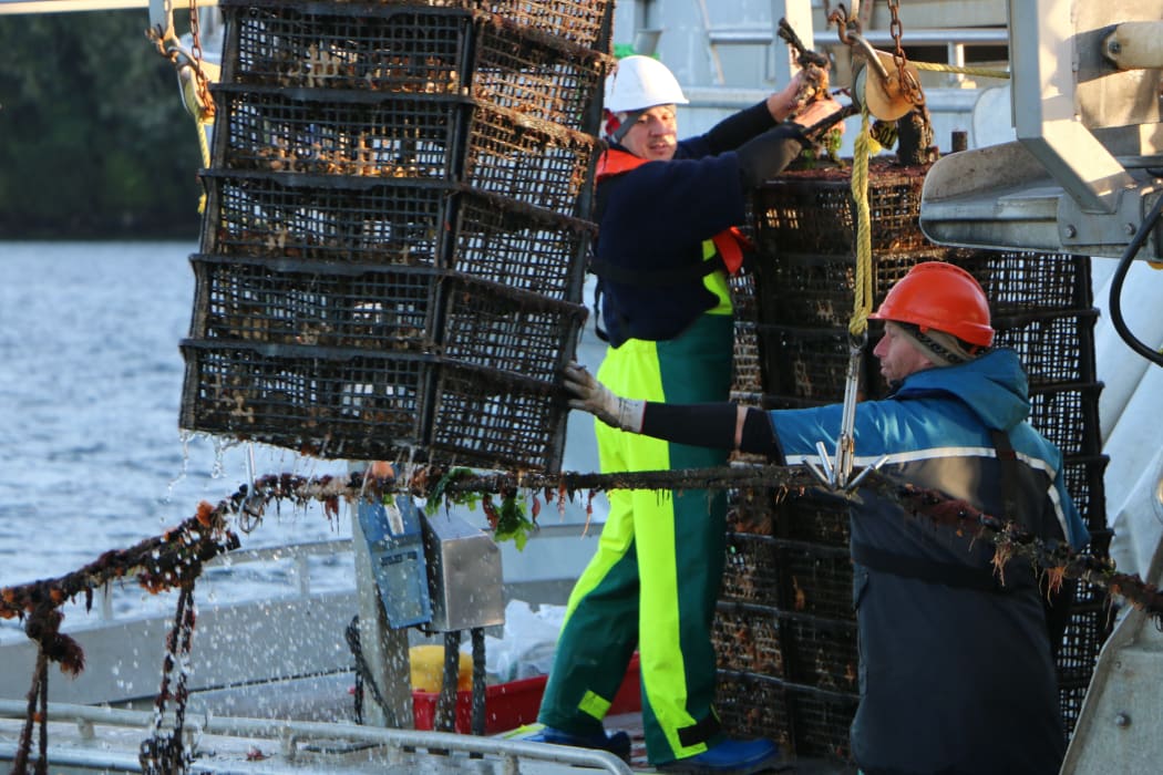 Oyster cages being pulled.