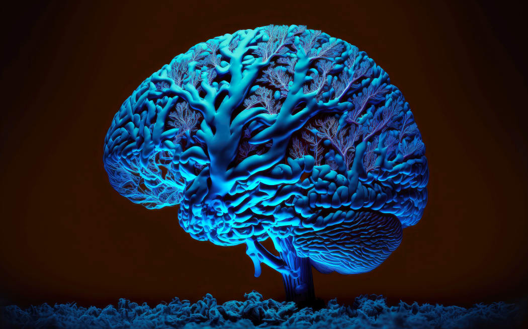 dark background with illuminated model of brain in blue tones