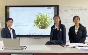 From the left (near the laptop): Kay Wu, Annie He, Linda Chen. Annie He, Kay Wu, and Linda Chen from Pinehurst School, all 15 years old, won the Cambridge Science Competition’s Country Award for identifying limewater as a most effective preservative.