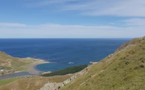 A coastal Wairarapa hill country farm