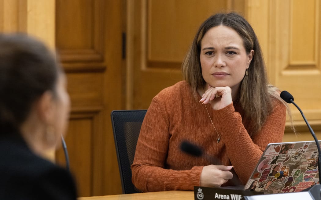 Labour Party MP Arena Williams participates in Parliament's Justice Select Committee.