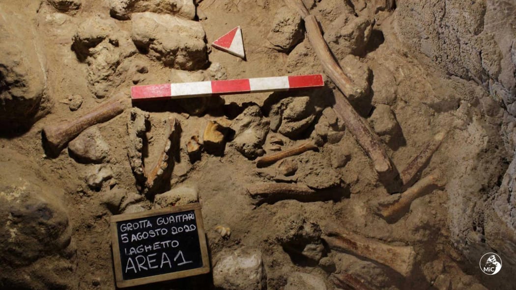 The Neanderthal bones were discovered in a cave south of Rome.
