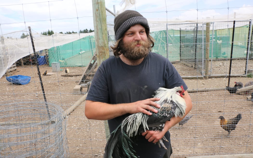 North Canterbury Chicken Rescue