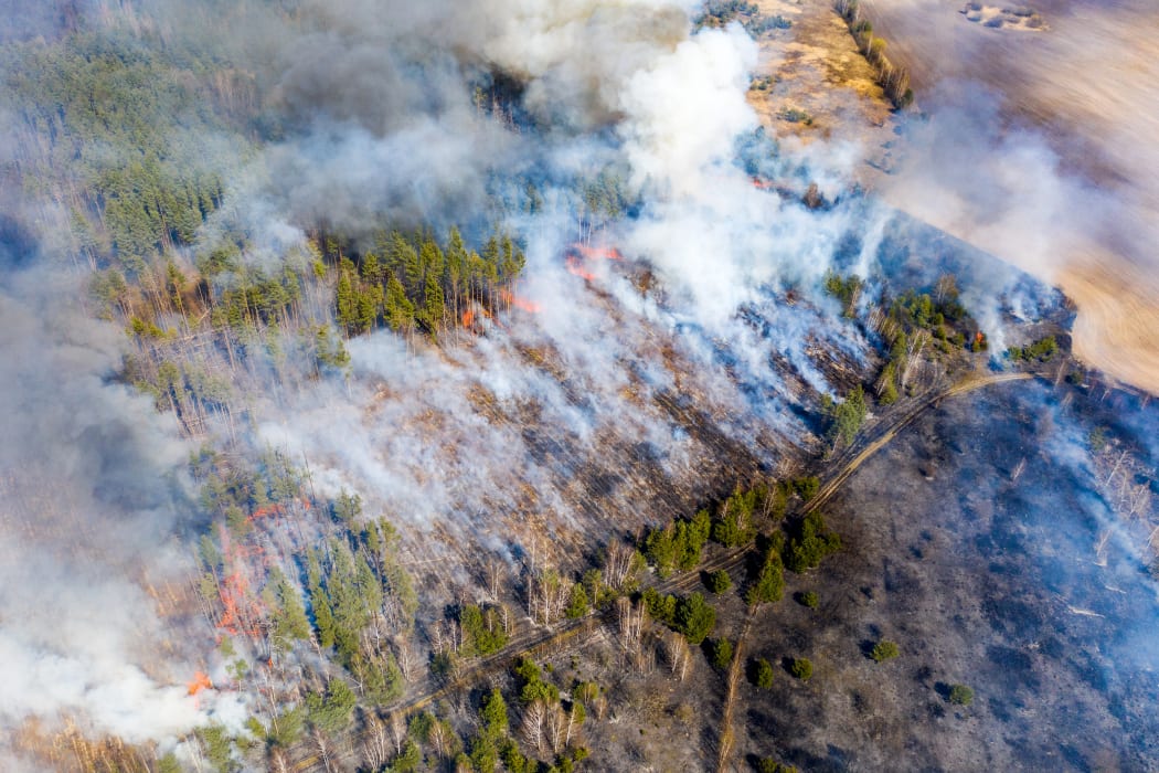 This aerial picture taken on April 12, 2020 shows a forest fire burning at a 30-kilometre Chernobyl exclusion zone in Ukraine, not far from the nuclear power plant.