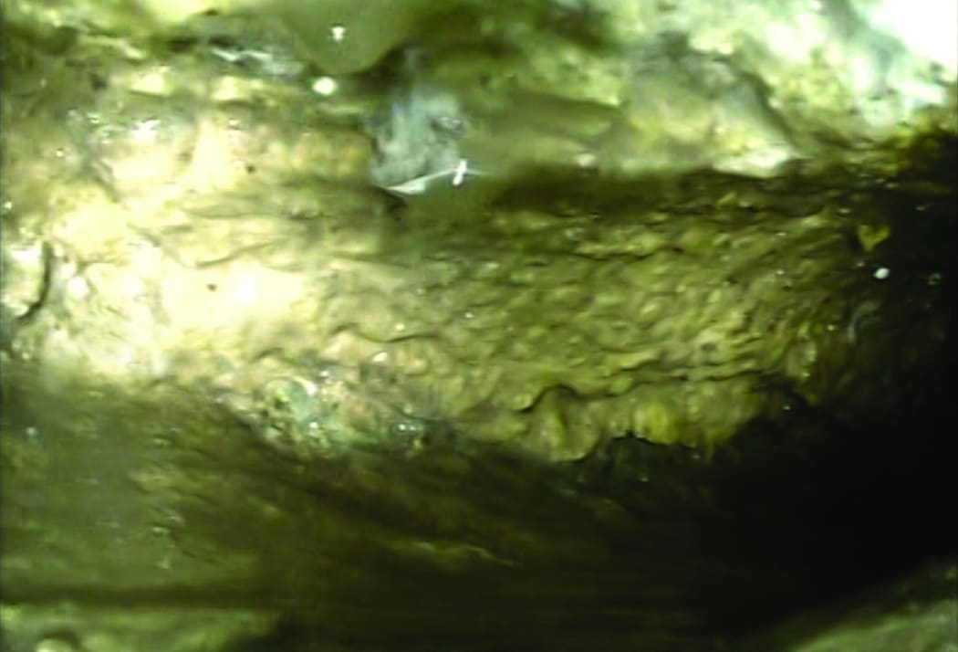 A fatberg blocking drains at Stephens Bay near Kaiteriteri.