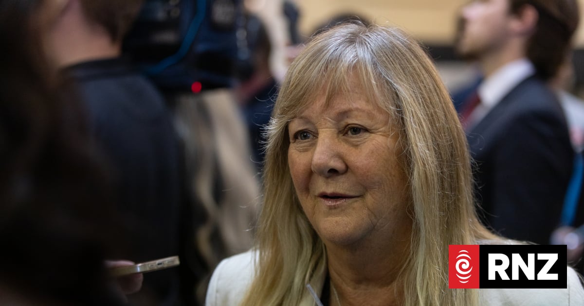 Environment minister accused of using position to influence council's ...