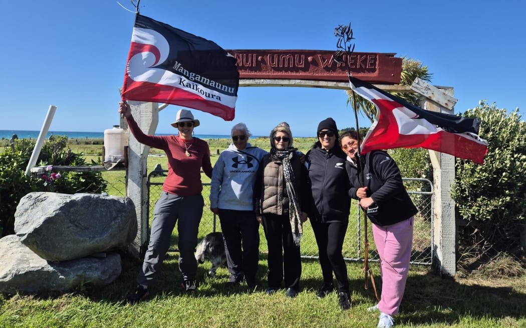 South Island hikoi reaches Blenheim