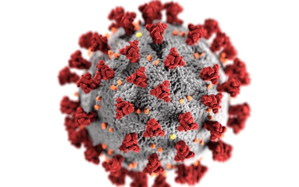 Close up of coronavirus