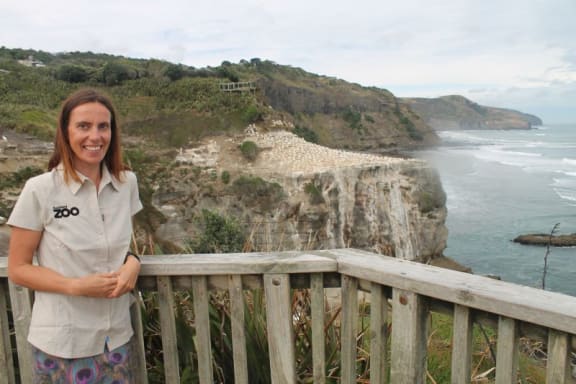 4pyvgfe gallery image 9976