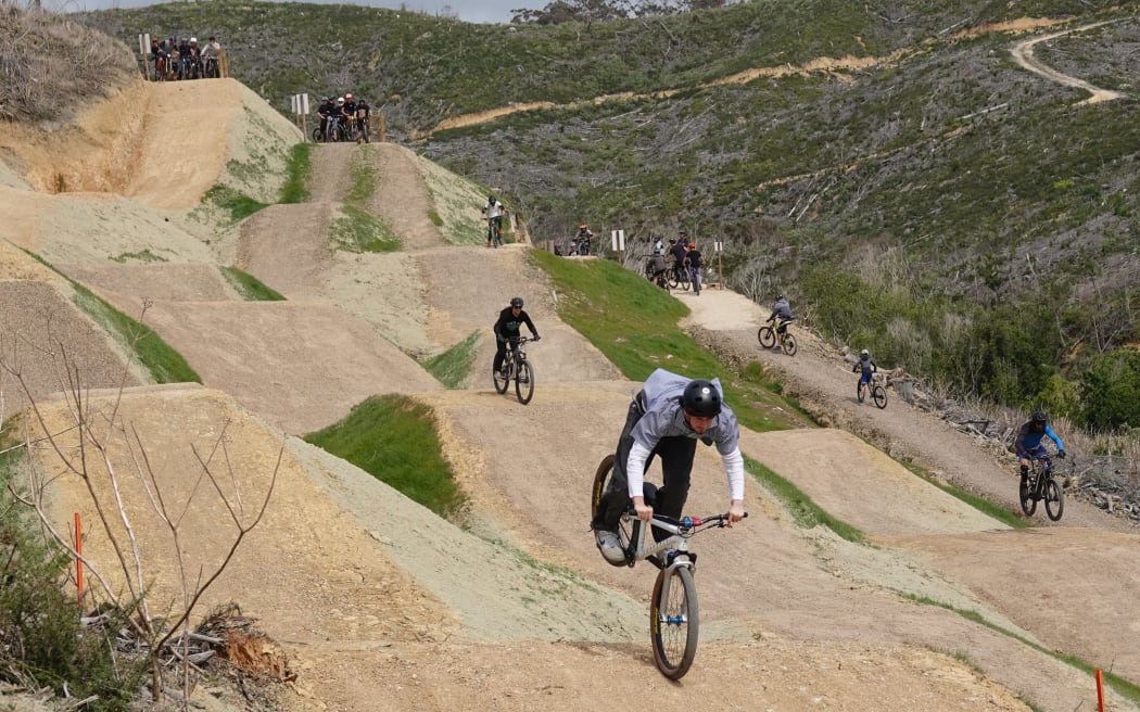 Pekenui Jump and Skills Park boasts three jump lines of varying difficulty.