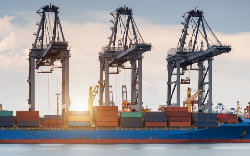 NZ exporters scramble for US tariff refunds after US Supreme Court ...