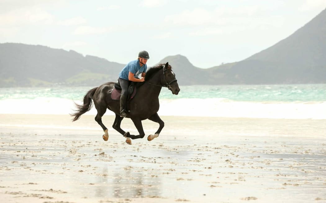 A woman riding a horse on the beach.
