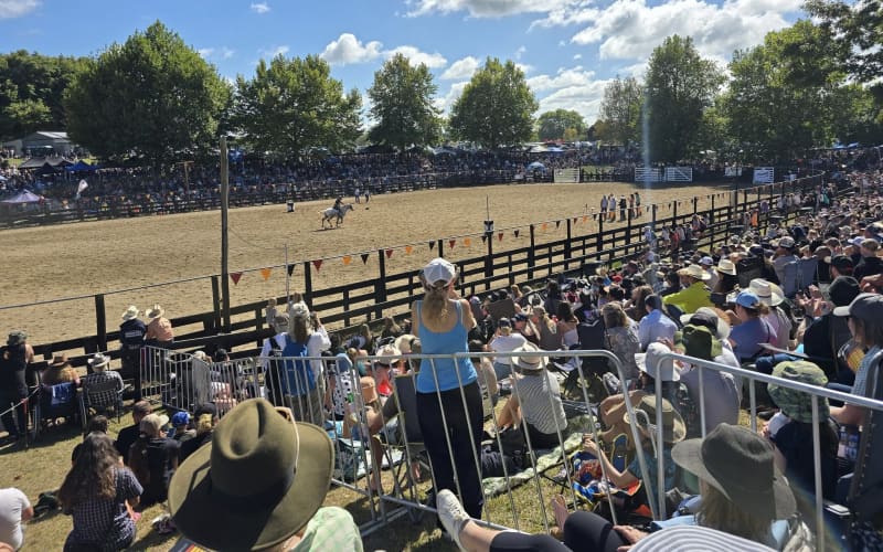 NZ rodeo final draws crowds, protesters and a satisfied minister ...