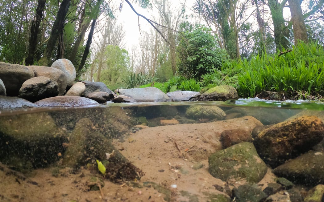 The Mangapiko stream.