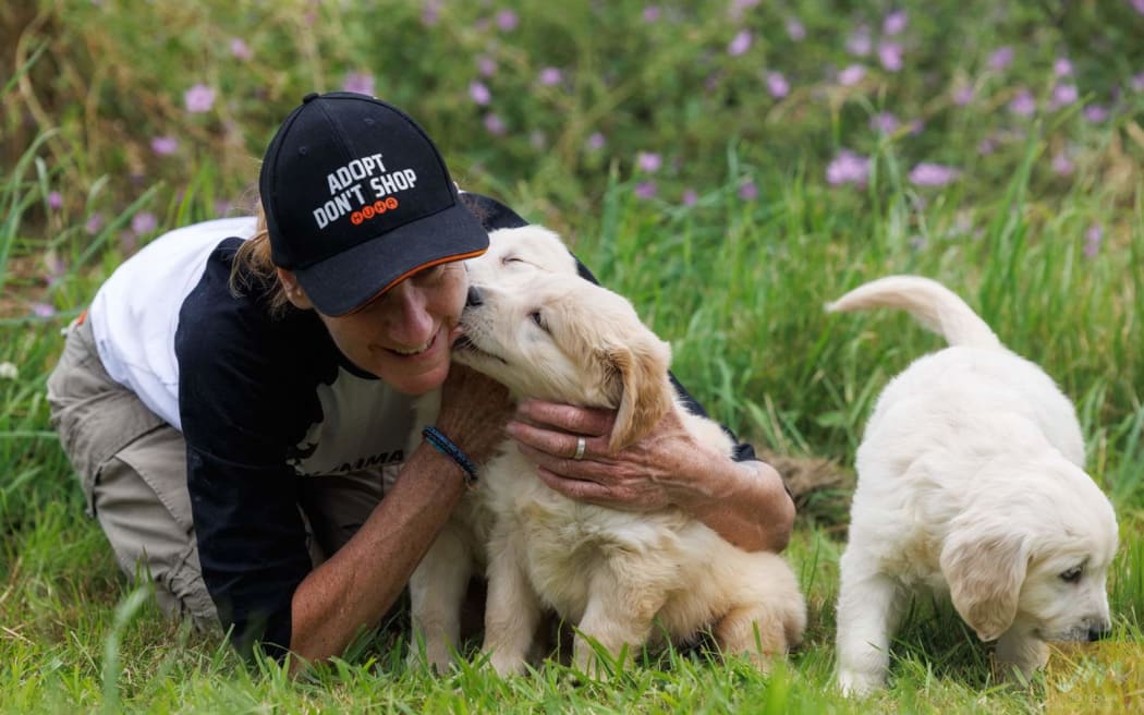 HUHA dog shelter manager Claire Jamieson receives some appreciation from puppies at the shelter