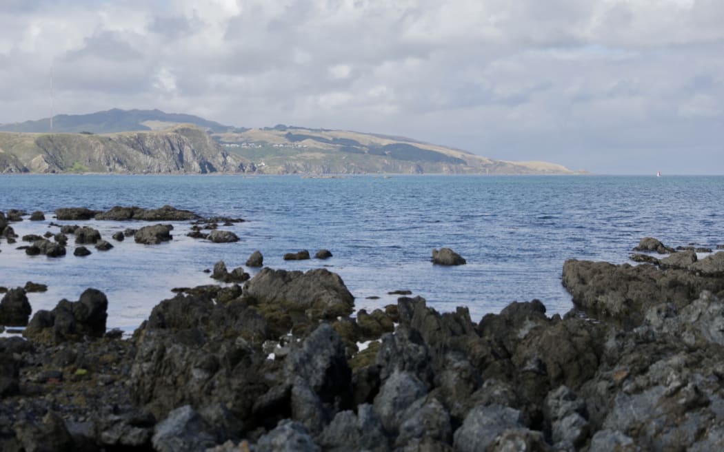 Plimmerton coastline where a jetskier was last seen before they didn't return home on Monday evening