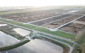 New Zealand's biggest feedlot is home to nearly 20,000 cattle.